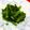 0kerokero0's cooksnap of when they made レンジでほうれん草のごまあえ.