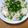 1105moka's cooksnap of when they made クリーミー柚子こしょうネギ豚.