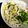 亮ちゃんのご飯☆'s cooksnap of when they made 夏のころうどん.