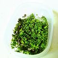 ☆ももぴ☆'s cooksnap of when they made 簡単*ドライパセリ.