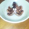 エゾリス☆ビク子's cooksnap of when they made シンプルな☆イイダコの煮つけ.