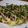 dmmb's cooksnap of when they made 大阪風いか焼き.
