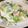 ☆☆ひな子★★'s cooksnap of when they made 青梗菜のクリーム煮.