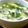チッチ☆☆'s cooksnap of when they made 簡単＊ネギと若布の中華スープ＊.