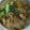 こっしゃんかね's cooksnap of when they made 大根がおいしい！！はりはり鍋風.