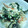 ユーロン's cooksnap of when they made このままの☆美味しい白和え.