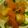 ちっはりん's cooksnap of when they made 定番☆野菜の水分だけでほくほく肉じゃが.