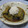 メグマ's cooksnap of when they made ♡なすのさっぱり生姜炒め♡～おろし添え～.