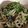 Norisupon's cooksnap of when they made れんこん、しめじ、豆苗の胡麻和え.