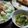 しんちゃんの嫁's cooksnap of when they made *ほうれん草のおひたし*.