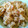 ＾＿＾Mieko's cooksnap of when they made 超手抜き＆簡単！とっても美味しいイカ飯♪.