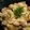ふっち's cooksnap of when they made 箸が止まらないたけのこご飯.