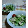 かこ太郎's cooksnap of when they made れんこんと水菜のツナサラダ.