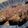 犬のハナチャン's cooksnap of when they made 秘密みそダレで香ばしい焼きナス.