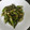 MitsuruB's cooksnap of when they made アスパラのマヨネーズ炒め.