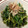 ばななんと's cooksnap of when they made ほうれん草のごま和え.