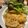 momナナ's cooksnap of when they made 塩麹でお肉柔らかなポークピカタ.