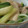 かめきち555's cooksnap of when they made セロリと豚肉のオイスター炒め.