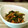 福福弐番館's cooksnap of when they made すり胡麻と海苔佃煮とほんだしの和え物.