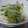minao2318's cooksnap of when they made キュウリと長いもの梅和え.