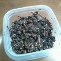 mamarinta's cooksnap of when they made トミ③－の無添加手作りひじきふりかけ☆　.