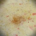 ★みっちっち★'s cooksnap of when they made 心温かなコーンスープ♨.