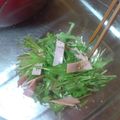 chiemake's cooksnap of when they made 水菜とハムのさっぱりサラダ.