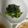 :himawarin's cooksnap of when they made 小松菜とワカメのお浸し.