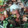 hikari0223's cooksnap of when they made ちょっとお洒落なシーザーサラダ.