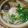 ゆうかりコアラ's cooksnap of when they made さつまあげの鍋焼きうどん.