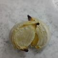 べりぃ(^-^)/'s cooksnap of when they made ニンニクの臭みと辛みを抜く方法.