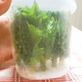 にっしぃ～'s cooksnap of when they made シソの葉の保存方法.