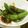 かほたくhy's cooksnap of when they made スナップエンドウのゴマみそ炒め.