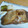 Kami雪's cooksnap of when they made ☆おいしいかれい（魚）の煮付け方☆.