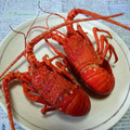 ＊はちおさん＊'s cooksnap of when they made 簡単！伊勢えびの姿煮.