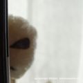 さとこぱんたーに's cooksnap of when they made グレイにぎり【NASA新発見記念】.