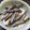 ようぷぅ's cooksnap of when they made キビナゴの煮付け.