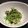 マキノスケ's cooksnap of when they made 豆苗とシーチキンのペペロン風.
