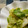 yoco152's cooksnap of when they made ☆ちょっと本格的な白菜のシーザーサラダ☆.
