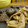 neo_namp's cooksnap of when they made 手羽先と干し椎茸の煮物.