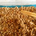 NaokoG's cooksnap of when they made 手作り納豆！.
