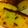 yukkie_w's cooksnap of when they made HMでかぼちゃのパウンドケーキ.