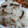 かかかママ♪'s cooksnap of when they made 簡単！福豆炊き込みご飯.