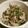 hanamayl's cooksnap of when they made ｺﾞﾊﾝがススム♪★ねぎ塩チキン★.