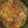 meyou33's cooksnap of when they made 我が家のつゆだく肉じゃが.