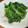 daikanon's cooksnap of when they made 簡単！！　ほうれん草！！　激ウマ炒め！！.