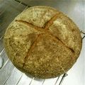 七味トウガラシ's cooksnap of when they made カンパーニュ（ゴマはちみつ）.