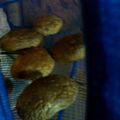 エリxルリ's cooksnap of when they made 干ししいたけ　（簡単干すだけ）.