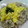 しおとも's cooksnap of when they made フワフワ★和風オムライス.