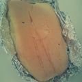 とまと♯'s cooksnap of when they made クレープロールケーキ.